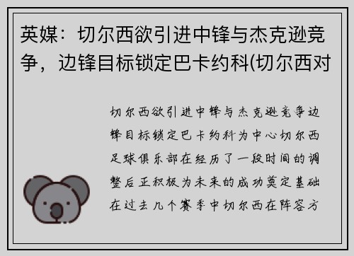 英媒：切尔西欲引进中锋与杰克逊竞争，边锋目标锁定巴卡约科(切尔西对标)