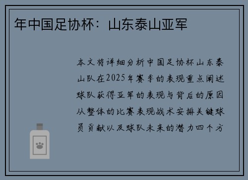 年中国足协杯：山东泰山亚军