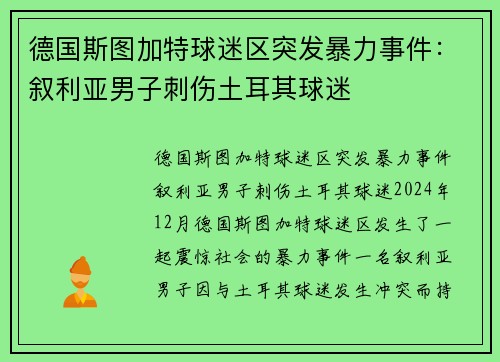 德国斯图加特球迷区突发暴力事件：叙利亚男子刺伤土耳其球迷