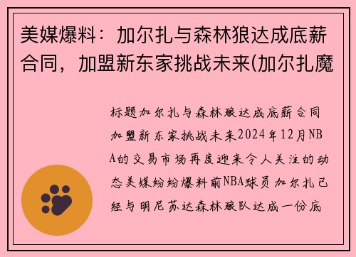 美媒爆料：加尔扎与森林狼达成底薪合同，加盟新东家挑战未来(加尔扎魔进战队)