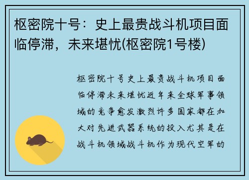 枢密院十号：史上最贵战斗机项目面临停滞，未来堪忧(枢密院1号楼)
